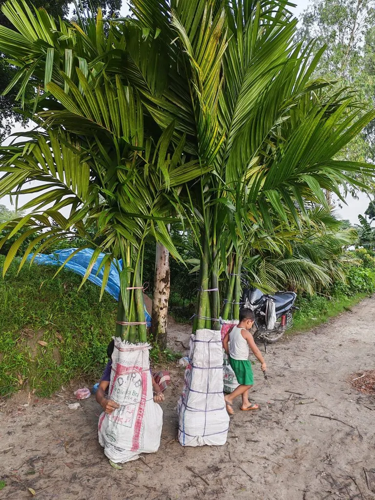 526526052_762296200083248_5931028620314301760_n