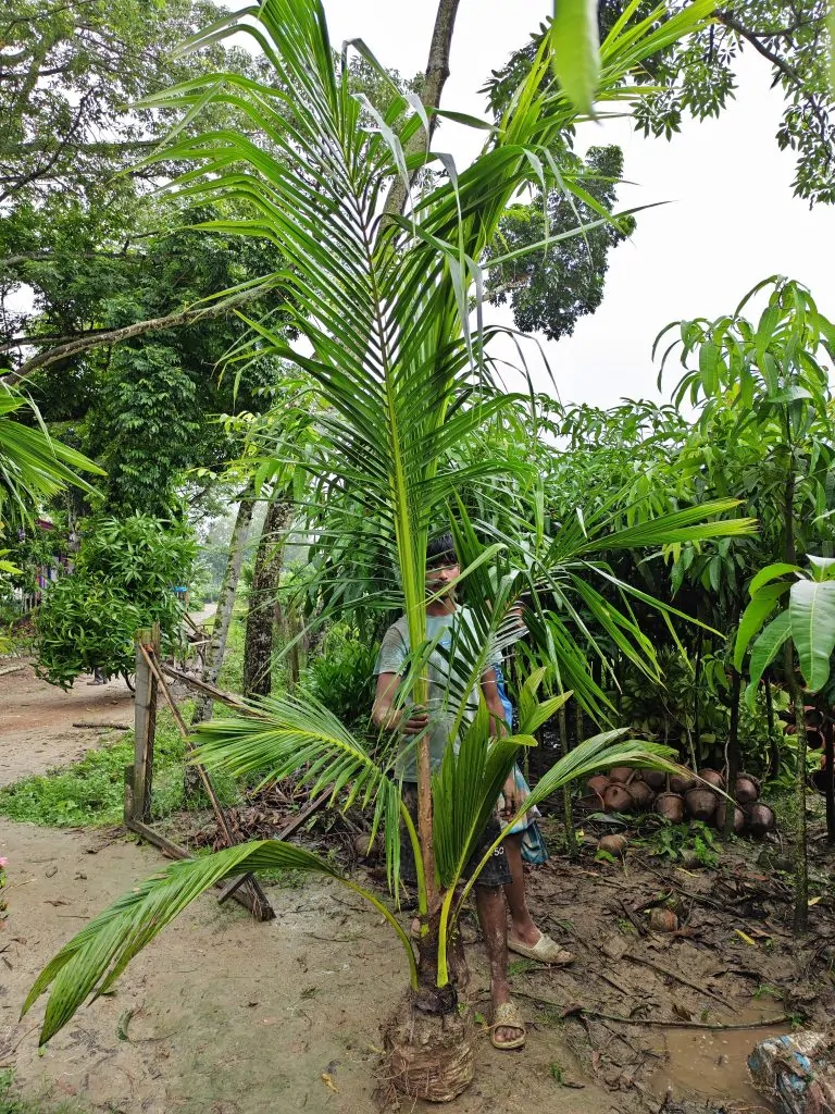 526759468_766589692987232_4014120043132654702_n