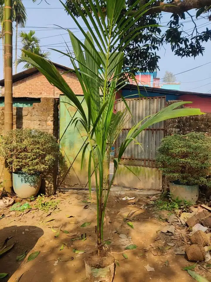 FB_IMG_1713135454997