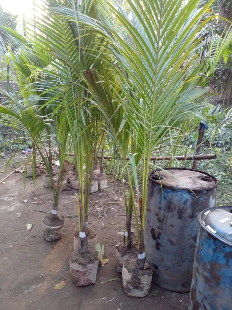 FB_IMG_1713135460693